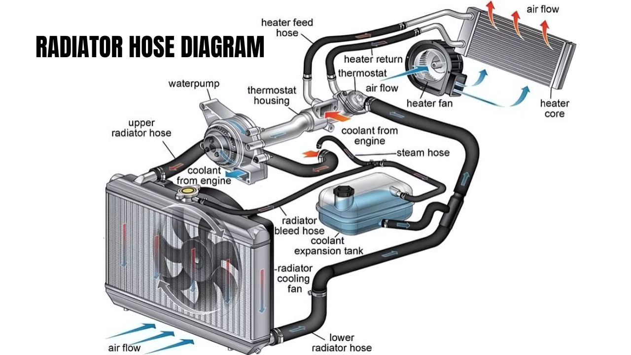 Radiator Hose Diagram